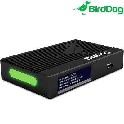 BirdDog 4K SDI - NDI 12G-SDI Encoder-Decoder - Avacab