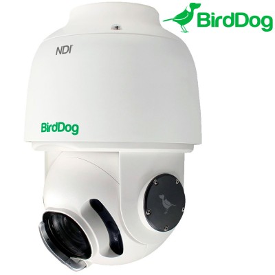 BirdDog A200 GEN2 - Cámara PTZ 1080p NDI y SDI para Exteriores