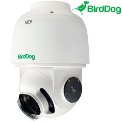 BirdDog A200 GEN2 - Outdoor 1080p NDI and SDI PTZ Camera - Avacab