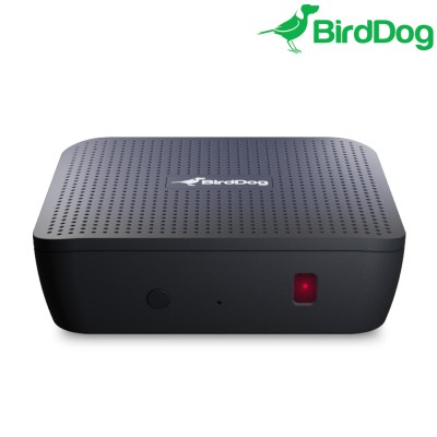 BirdDog PLAY - Decodificador UHD NDI/NDI|HX a HDMI 2.0