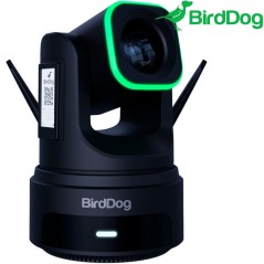 BirdDog X4 Ultra - Cámara PTZ UHD 4K60 con zoom 20x Negro